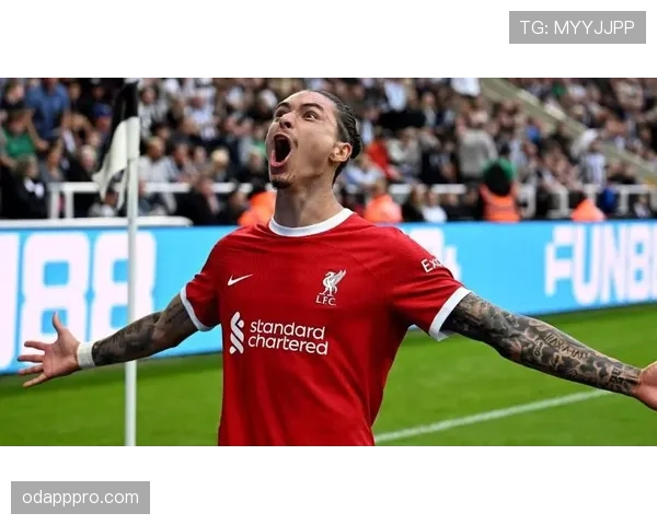 努涅斯在利物浦的困境：战术适配不足还是状态低迷所致？