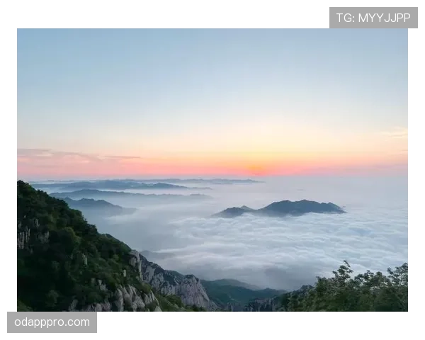 山东泰山重回巅峰之路：近期表现与争冠形势分析